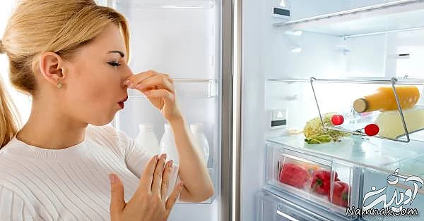 رفع بوی بد یخچال و فریزر 